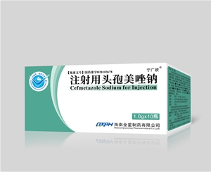注射用头孢美唑钠1.0gx10支